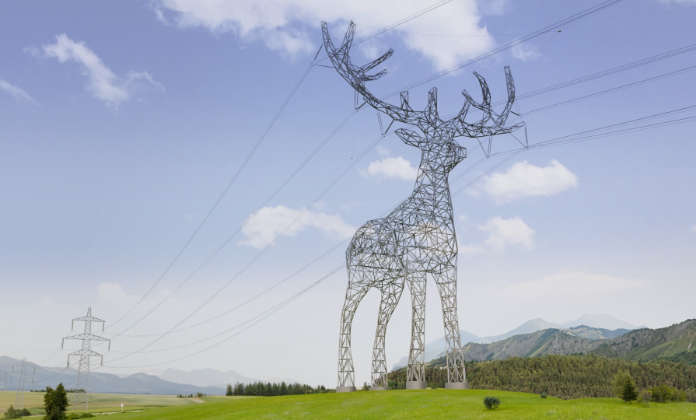 Deer_Closeup neu 1.jpeg